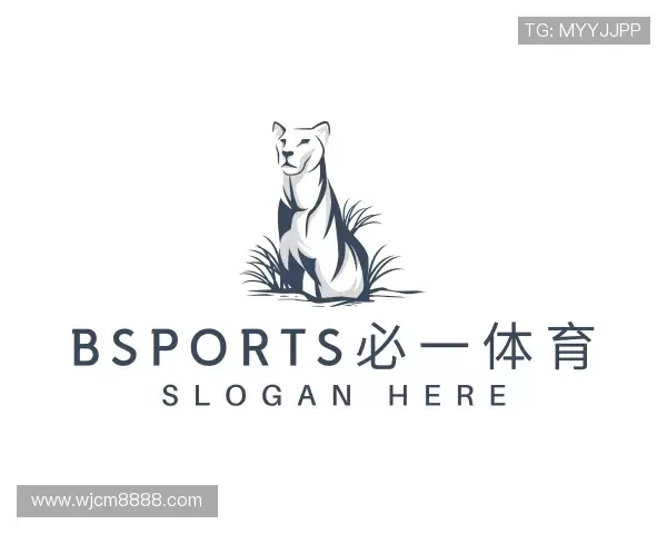 知道bsports必一体育